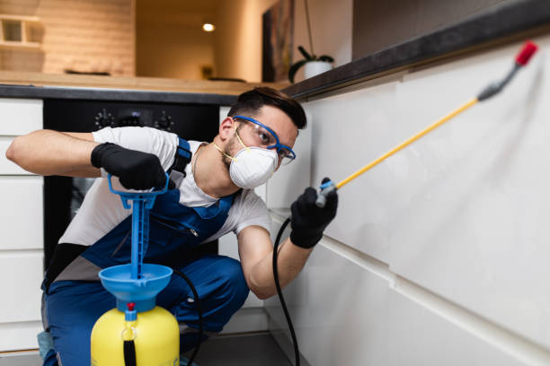 Best Best Pest Control Companies  in Spring Hope, NC