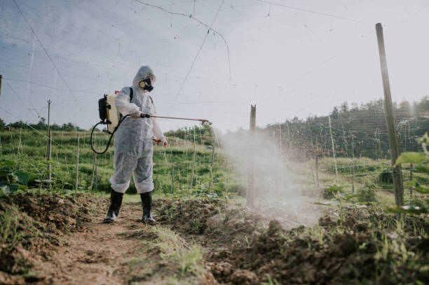 Best Pest Prevention Services  in Spring Hope, NC