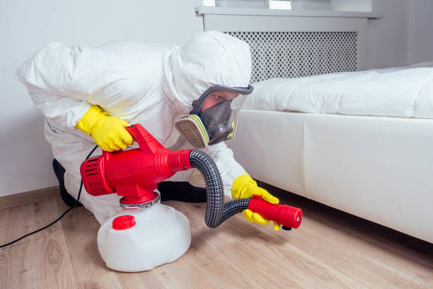 Best Affordable Pest Control Services  in Spring Hope, NC