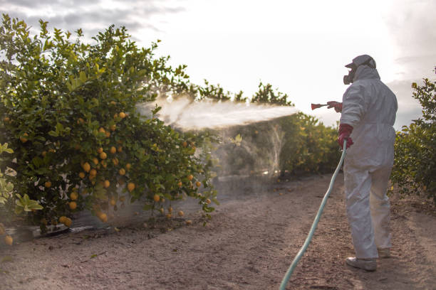 Best Exterminator Services  in Spring Hope, NC