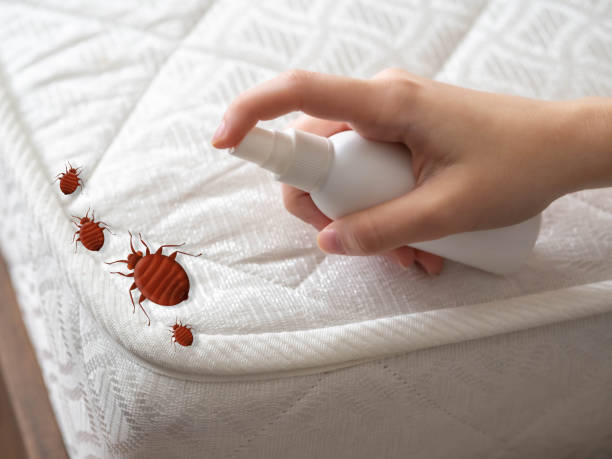 Best Best Pest Control Companies  in Spring Hope, NC