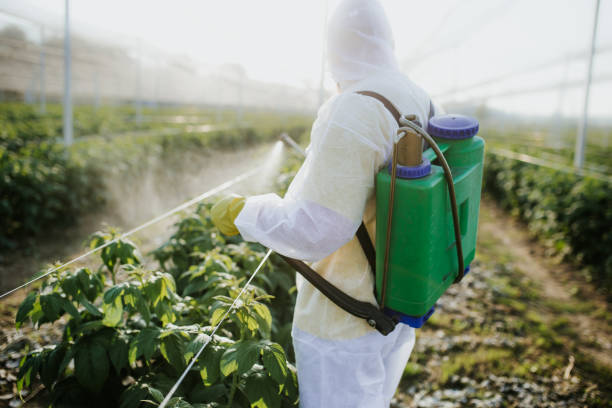 Best Flea Control Services  in Spring Hope, NC